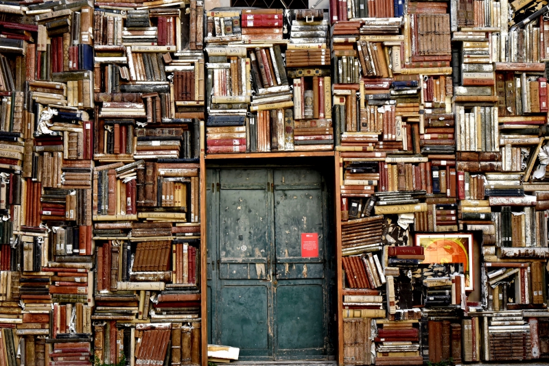 librairie-ST CYR SUR MER-min_books-1655783